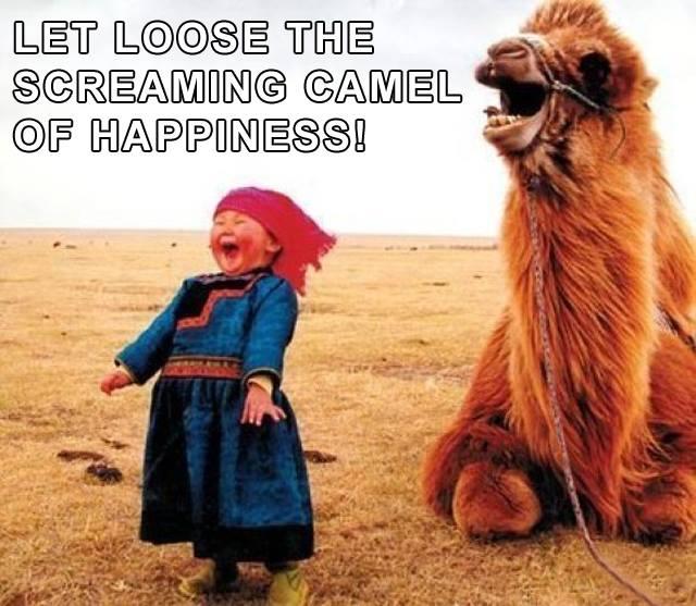 screaming_camel_Happiness